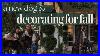 A_New_Family_Member_U0026_Decorating_For_Fall_01_xvmc
